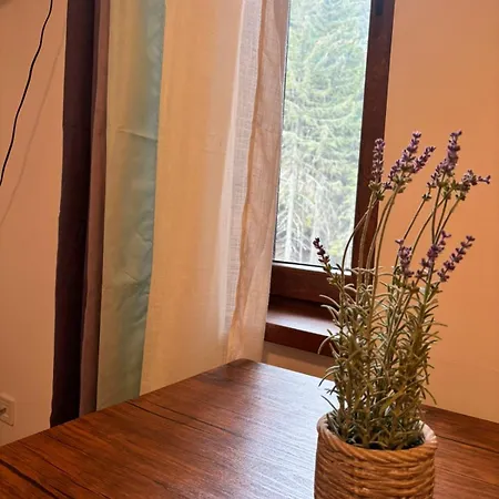 Montepinar Grand Apartmán *
