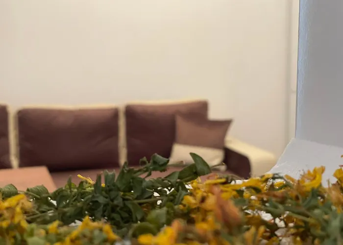 Apartment Montepinar Grand *