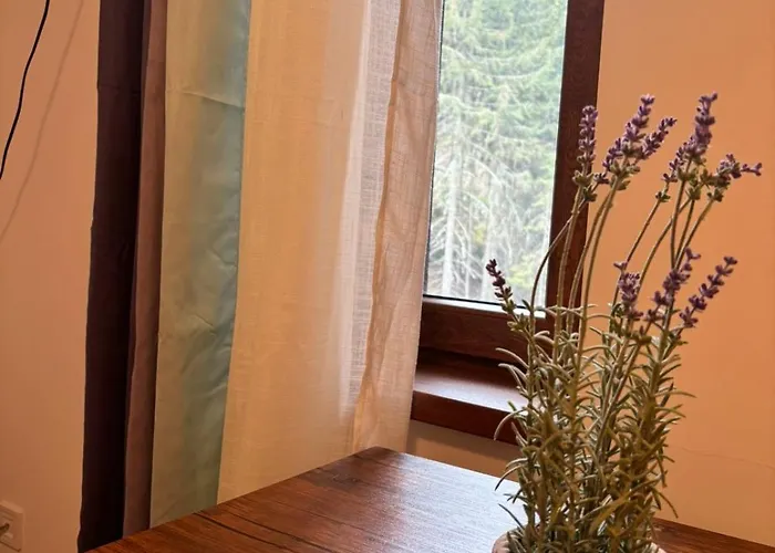 Montepinar Grand Apartment *